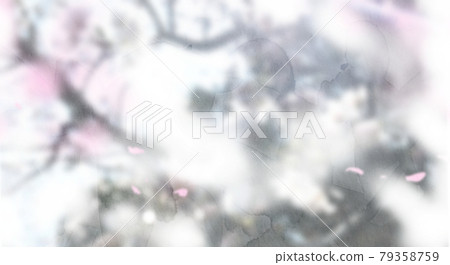 具有櫻花般氛圍的背景材料 79358759