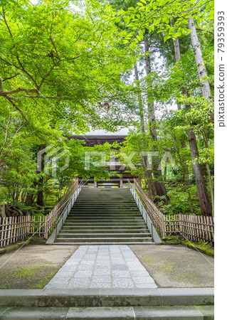 [神奈川縣] 鎌倉，綠樹成蔭的圓覺寺大門 79359393
