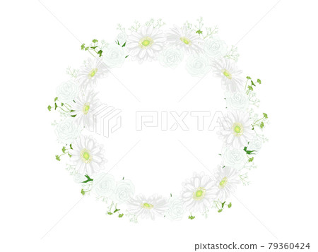 白玫瑰和非洲菊 frame_circle 白玫瑰和非洲菊 frame_circle 79360424