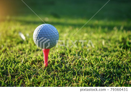 golf ball on tee in a beautiful golf course with morning sunshine golf ball on tee in a beautiful golf course with morning sunshine 79360431