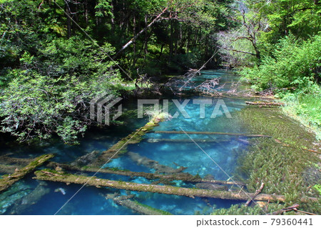中國四川九寨溝的帶狀湖 79360441