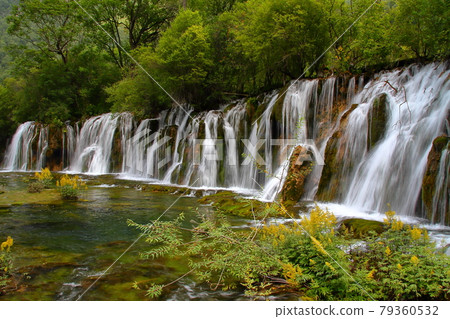 中國四川九寨溝的湖泊 中國四川九寨溝的湖泊 79360532