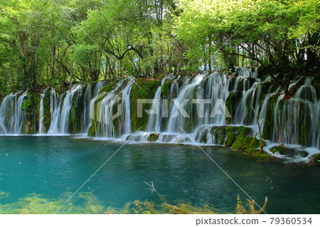 中國四川九寨溝的湖泊 79360534