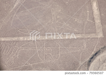 Peruvian Nasca ground painting (whale) 79360587