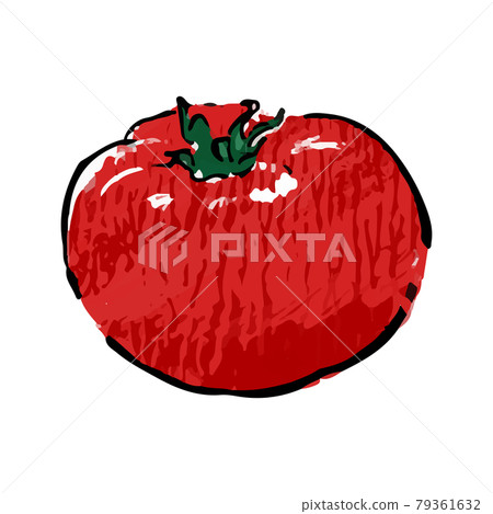 番茄、真蔬菜、紅色光澤、單一物質的手繪插圖 79361632