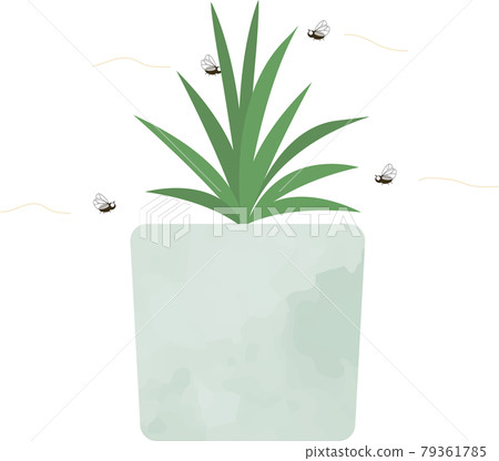 蒼蠅在觀葉植物周圍飛行的插圖 79361785