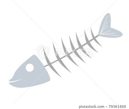 Illustration of fish bones Illustration of fish bones 79361808