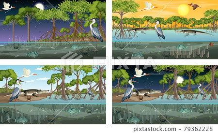 Different mangrove forest landscape scenes with various animals 79362228