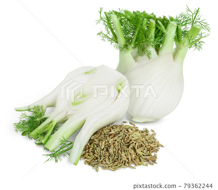 fresh fennel bulb with seed isolated on white background with clipping path and full depth of field fresh fennel bulb with seed isolated on white background with clipping path and full depth of field 79362244