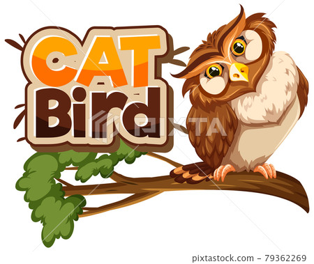 Owl on branch cartoon character with Cat Bird font banner isolated Owl on branch cartoon character with Cat Bird font banner isolated 79362269