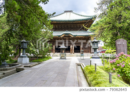 [Kanagawa Prefecture] Kamakura, the Buddhist temple of Kenchoji, where fresh greenery grows 79362643
