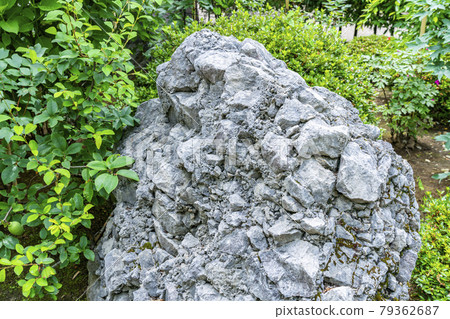 [Kanagawa Prefecture] Kamakura: Sazareishi of Kenchoji Temple where you can feel the history 79362687