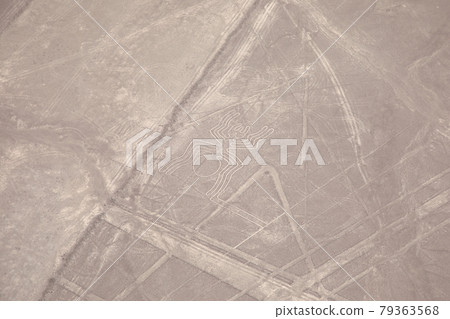 Peruvian Nasca ground painting (spider) 79363568