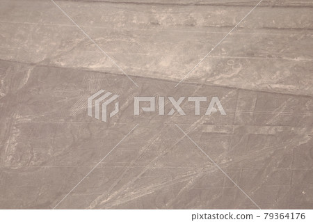 Peruvian Nasca ground painting (heron) 79364176