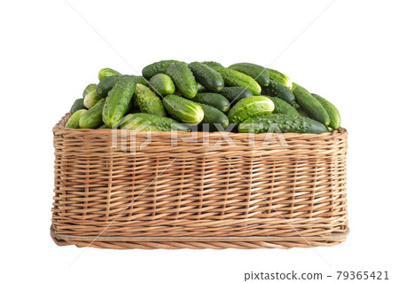 Green cucumbers in a wicker basket on a white background, isolate, close-up. Agriculture, cooking Green cucumbers in a wicker basket on a white background, isolate, close-up. Agriculture, cooking 79365421