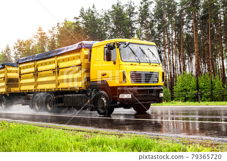 Yellow modern grain truck transporting grain in rainy weather on the highway, in the background. Slippery road, agribusiness, wet weather Yellow modern grain truck transporting grain in rainy weather on the highway, in the background. Slippery road, agribusiness, wet weather 79365720