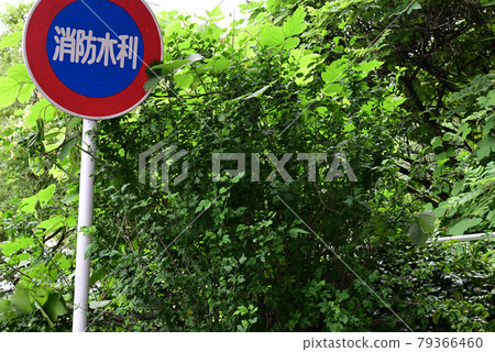(帶標誌的風景)公園消防灌溉標誌 (帶標誌的風景)公園消防灌溉標誌 79366460