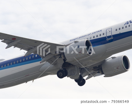 飛機起飛 79366549