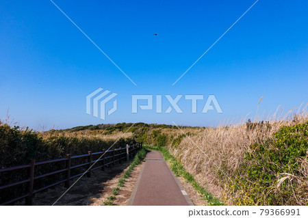 Ridge road to the clear Jogashima (Miura Peninsula) and Umiu Observatory (Uma-no-seidomon) 79366991