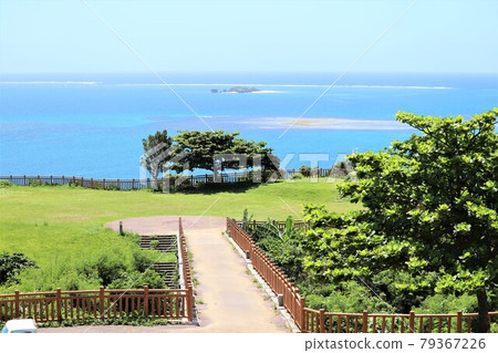 A view of the sea A view of the sea 79367226