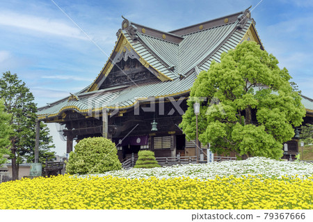 Naritasan Shinshoji Temple Shakado Hall and Flower Field Naritasan Shinshoji Temple Shakado Hall and Flower Field 79367666