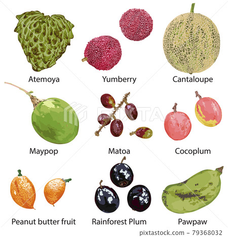fruits on white background 79368032
