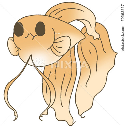 固體(橙色),飢餓的胃 固體(橙色),飢餓的胃 79368237