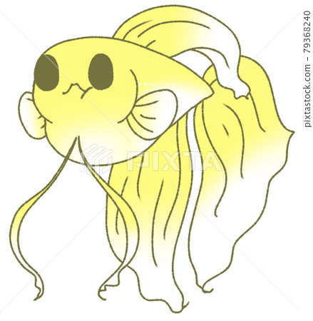 Solid (yellow) with a hungry stomach 79368240