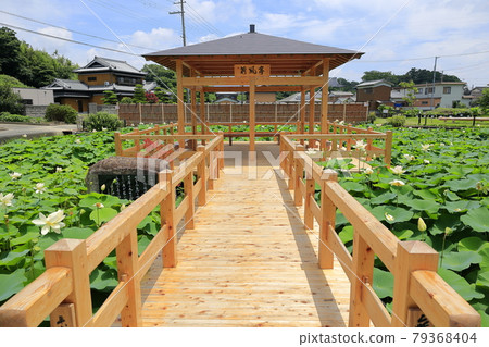Maihime Ren no Sato Hanahasu Park 79368404