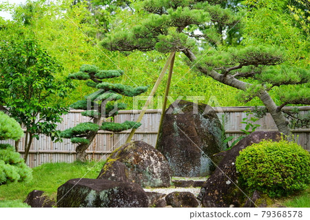奈良生駒高山竹林園2 79368578