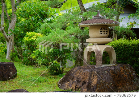 Nara Ikoma Takayama Bamboo Forest Garden 3 Nara Ikoma Takayama Bamboo Forest Garden 3 79368579