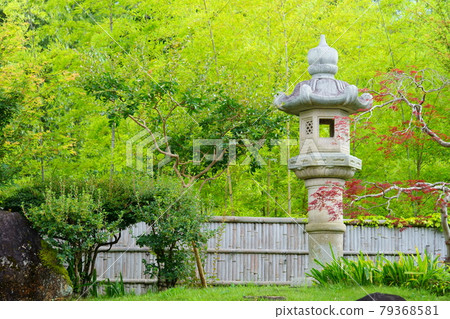 奈良生駒高山竹林園 5 79368581