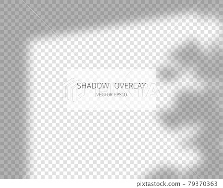 Shadow overlay effect. Natural shadows from window isolated on transparent background. Vector illustration. Shadow overlay effect. Natural shadows from window isolated on transparent background. Vector illustration. 79370363