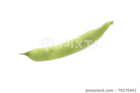 Morocco green beans isolated on white background 79370401