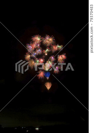 [Fireworks image] Senwa chrysanthemum collection. A fireworks display in which many florets bloom all at once. 79370483