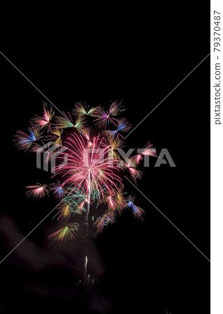 [Fireworks image] Senwa chrysanthemum collection. A fireworks display in which many florets bloom all at once. 79370487