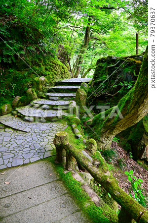 Ishikawa Prefecture Yamanaka Onsen Kakusenkei Walking Path 79370637