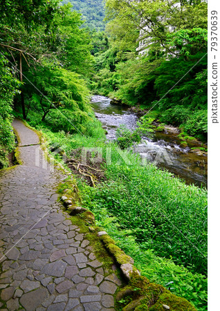 石川縣山中溫泉角仙溪步行道 79370639