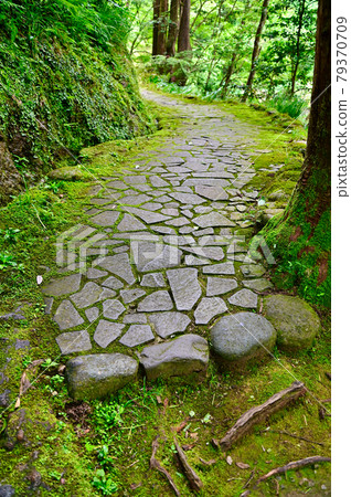 石川縣山中溫泉角仙溪步行道 石川縣山中溫泉角仙溪步行道 79370709