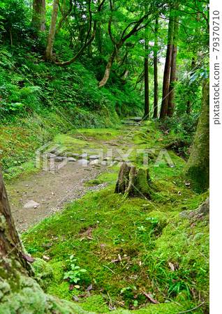 Ishikawa Prefecture Yamanaka Onsen Kakusenkei Walking Path Ishikawa Prefecture Yamanaka Onsen Kakusenkei Walking Path 79370710