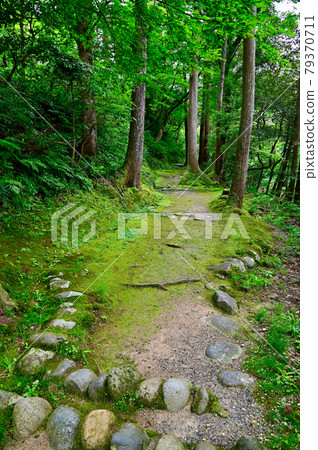 石川縣山中溫泉角仙溪步行道 石川縣山中溫泉角仙溪步行道 79370711