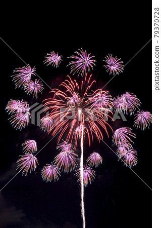 [Fireworks image] Senwa chrysanthemum collection. A fireworks display in which many florets bloom all at once. 79370728