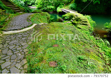 石川縣山中溫泉角仙溪步行道 石川縣山中溫泉角仙溪步行道 79370752