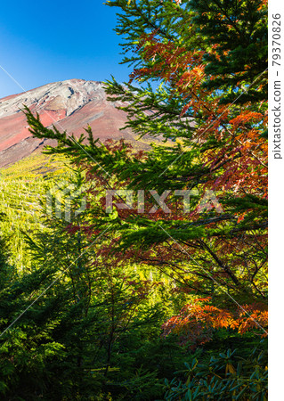 Mt. Fuji from Yamanashi Okuba Observatory 79370826