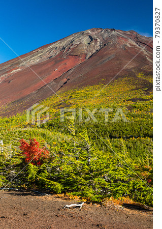 Mt. Fuji from Yamanashi Okuba Observatory 79370827
