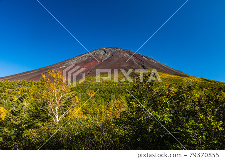 Mt. Fuji from Yamanashi Okuba Observatory Mt. Fuji from Yamanashi Okuba Observatory 79370855