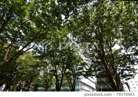 Scenery around Miyagi Sendai City Jozenji Dori Mediatheque Scenery around Miyagi Sendai City Jozenji Dori Mediatheque 79370983