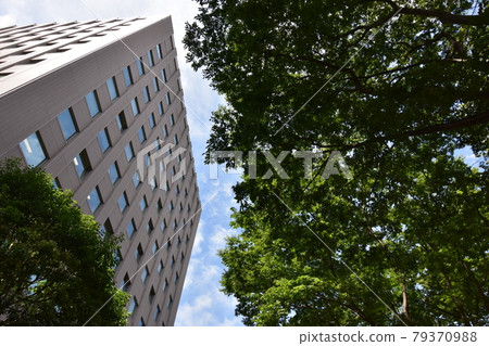 Scenery around Miyagi Sendai City Jozenji Dori Mediatheque Scenery around Miyagi Sendai City Jozenji Dori Mediatheque 79370988