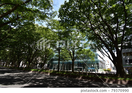 Scenery around Miyagi Sendai City Jozenji Dori Mediatheque 79370990