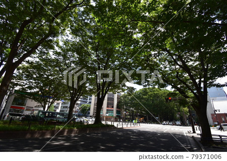 宮城縣仙台市定善寺通媒體中心周邊的風景 79371006